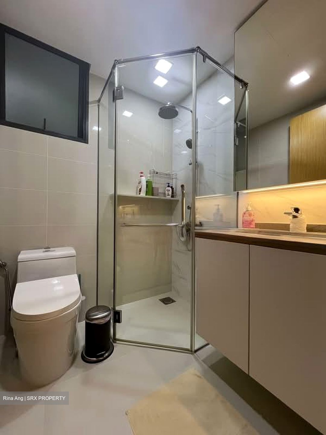 La Fiesta (D19), Condominium #596275041
